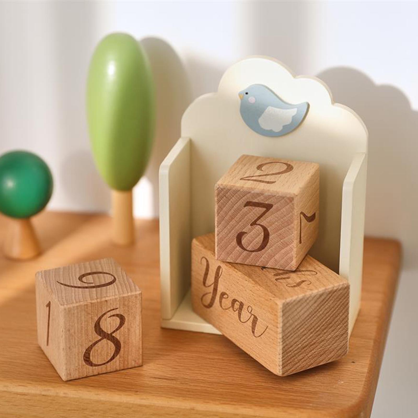 Wooden Baby Milestone Age Bloc - огляд і ціна Baby Nursery Age